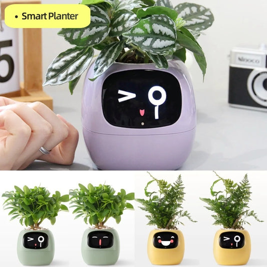 7 Expressions  Smart Sensor Planter